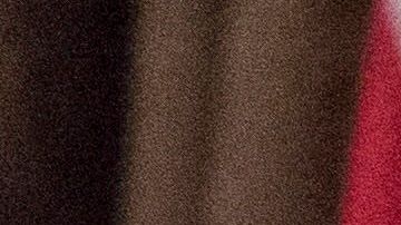 El presidente Donald Trump eligió ya a sus defensores.