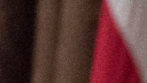 El presidente Donald Trump eligió ya a sus defensores.