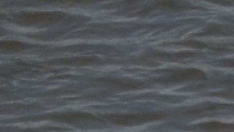 Hombres, mujeres y niños avanzaron por el agua.