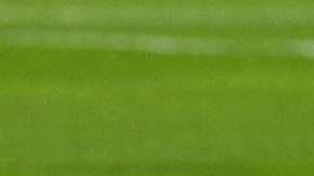 Los médicos confirmaron que el zaguero central sufrió un esguince de primer grado.