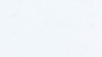 Alonso salió ileso.