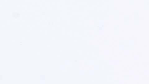 Alonso salió ileso.