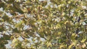 El conductor podría pasar el resto de su vida tras las rejas