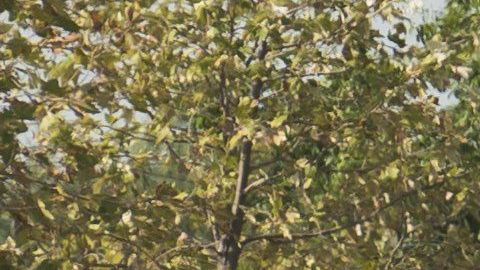 El conductor podría pasar el resto de su vida tras las rejas