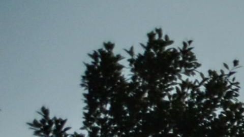 Unos 3,000 migrantes esperaban cruzar de Guatemala a México, el 26 de enero de 2021.