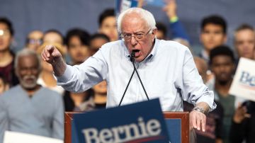 Bernie Sanders es el candidato favorito entre votantes latinos.