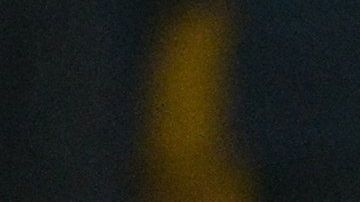 Raúl Jiménez perdió la cabeza por unos momentos.