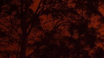 Incendios en Australia.