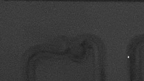 EFE/ EQUIPO SELENA GOMEZ/SOLO USO EDITORIAL/NO VENTAS