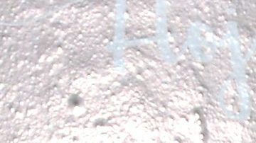 Manuel Velasco y Anahí.