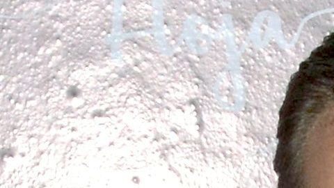 Manuel Velasco y Anahí.