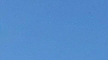 El muro fronterizo impactará una zona desértica donde viven especies amenazadas.