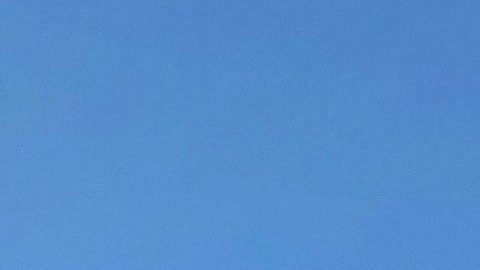 El muro fronterizo impactará una zona desértica donde viven especies amenazadas.