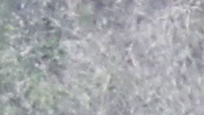 El terreno en Calabasas, California, es diferente al que muestra el video.