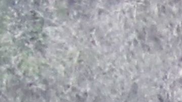 El terreno en Calabasas, California, es diferente al que muestra el video.