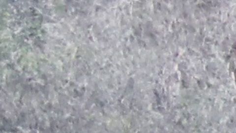 El terreno en Calabasas, California, es diferente al que muestra el video.