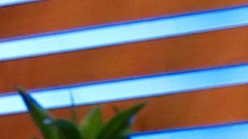 Jomari Goyso junto a Lili Estefan en El Gordo y la Flaca de Univision.