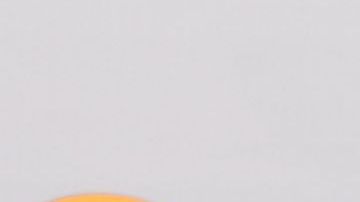 Luis Fonsi junto a su esposa Águeda López.