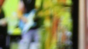 Natasha Araos de Miranda.