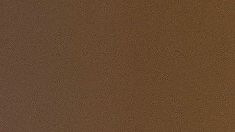 Alexander allana el camino a la absolución de Trump.