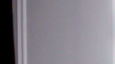 Adamari López y su amado Toni Costa.