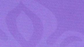 Jacqueline Bracamontes