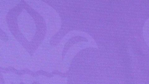 Jacqueline Bracamontes