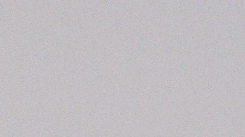 Exaltón Estados Unidos regresa con su cuarta temporada y 20 atletas listos para competir.