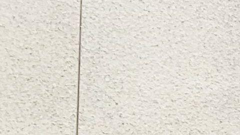 Steve Morán en la barbería de Culver City./Cortesía