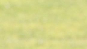 El mediocampista marfileño ya entrenó con Monterrey.