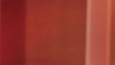 Alexa Dellanos, hija de Myrka Dellanos