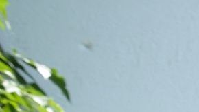 El gladiador no pudo contener las lágrimas frente a las cámaras.