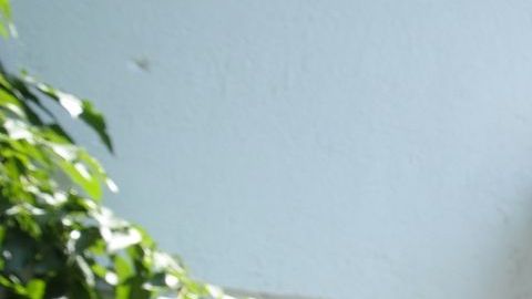 El gladiador no pudo contener las lágrimas frente a las cámaras.