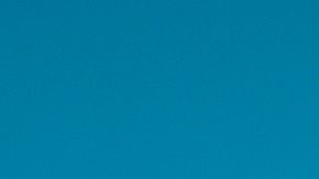 Brown debería ser controlado a través de un GPS, entregar su pasaporte y sus armas.