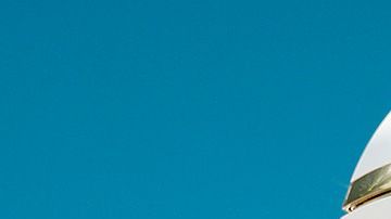 Brown debería ser controlado a través de un GPS, entregar su pasaporte y sus armas.