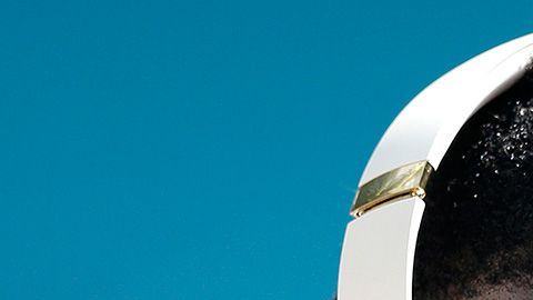 Brown debería ser controlado a través de un GPS, entregar su pasaporte y sus armas.