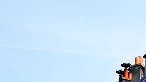 La mujer se encuentra en terapia intensiva.