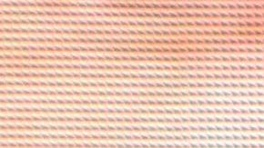 Aracely Arámbula a sus 44 años.