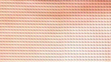 Aracely Arámbula a sus 44 años.