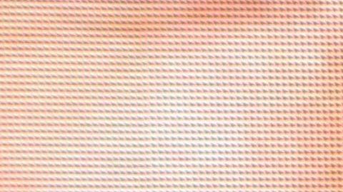 Aracely Arámbula a sus 44 años.