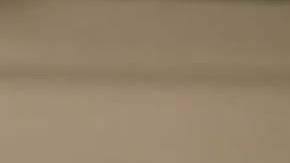 El Australian Reptile Park alertó sobre un incremento en arañas venenosas.