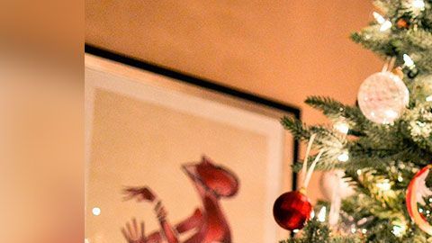 Muchos clientes no los compraron por tener las ramas rotas.