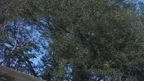 La zona donde ocurrió la explosión es de población mayormente hispana.