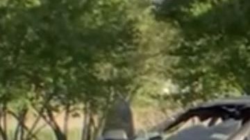 El auto estaba incendiándose en Baisley Boulevard