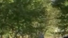 El auto estaba incendiándose en Baisley Boulevard