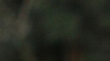 automotive-1838744_1920