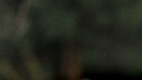 automotive-1838744_1920