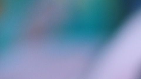 Un hombre les dio el dinero para proteger al menor.