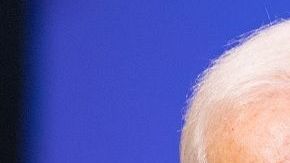 El exvicepresidente Joe Biden y los senadores Bernie Sanders y Elizabeth Warren lideran las encuestas.