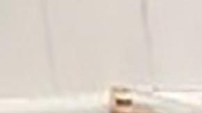 La boa hallada en el baño.